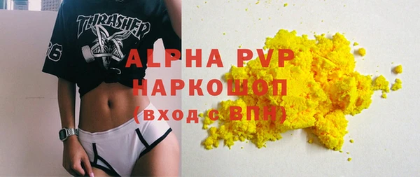 PSILOCYBIN Покачи