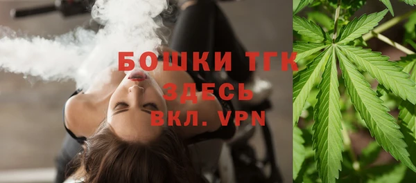 PSILOCYBIN Покачи