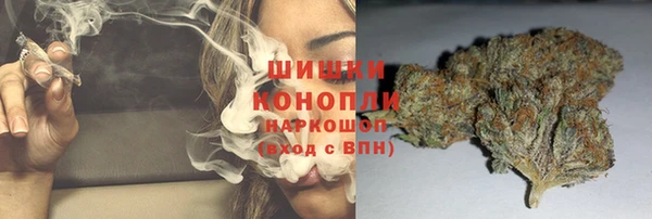 PSILOCYBIN Покачи