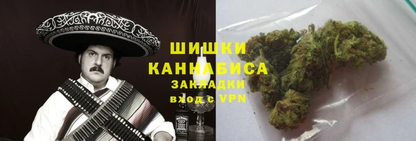 PSILOCYBIN Покачи