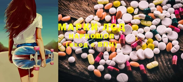 PSILOCYBIN Покачи