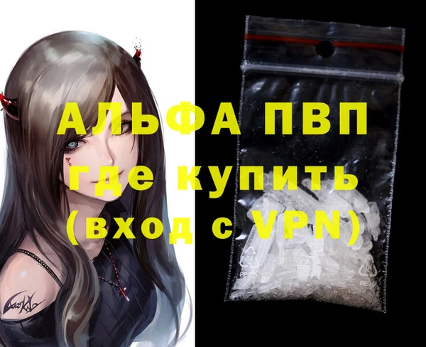 PSILOCYBIN Покачи