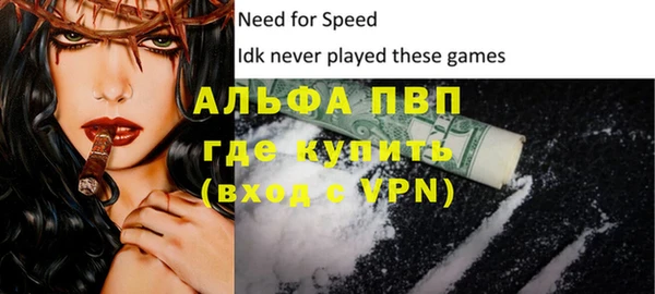 PSILOCYBIN Покачи